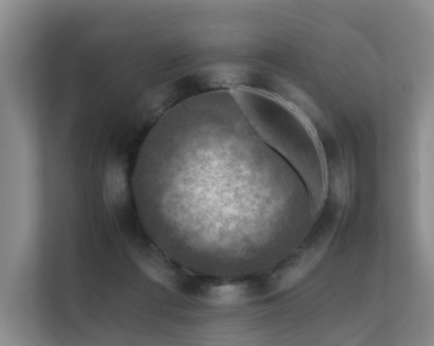 X0000111350312200907101215