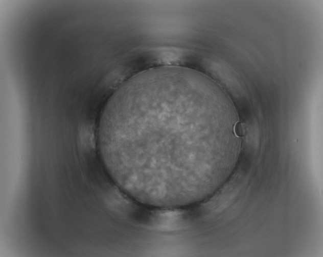 X0000111350313200907101215