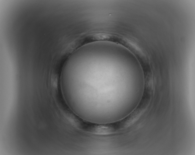 X0000111350315200907101215