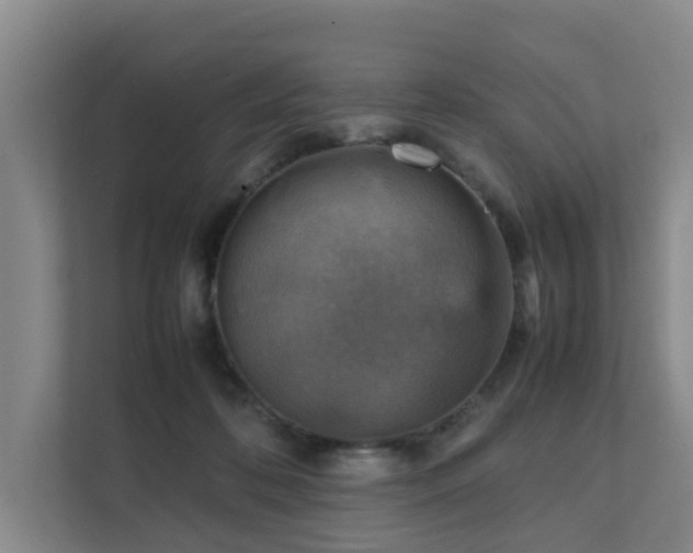 X0000111350316200907101215