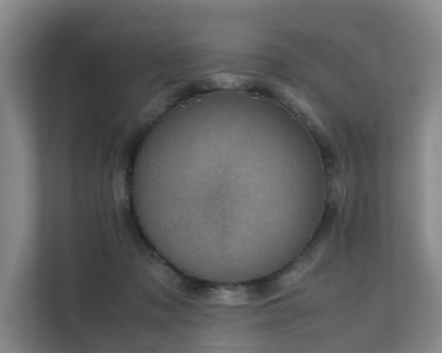 X0000111350317200907101215