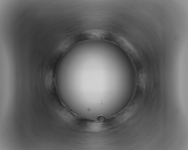 X0000111350318200907101215