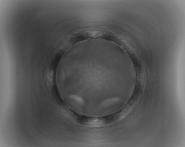 X0000111350319200907101215