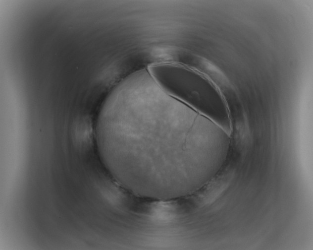 X0000111350320200907101215