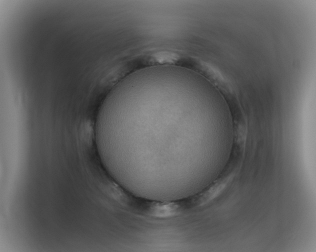 X0000111350321200907101215