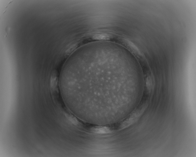 X0000111350322200907101215