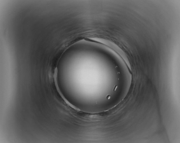 X0000111350324200907101215