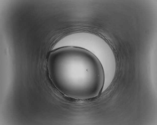 X0000111350325200907101215