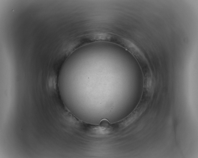 X0000111350326200907101215