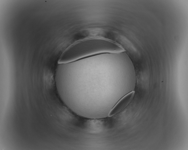 X0000111350327200907101215