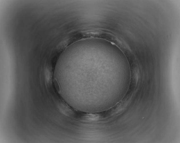 X0000111350328200907101215