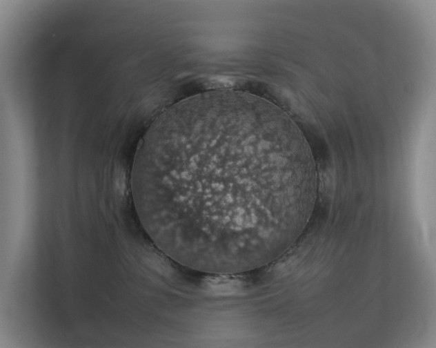 X0000111350331200907101215