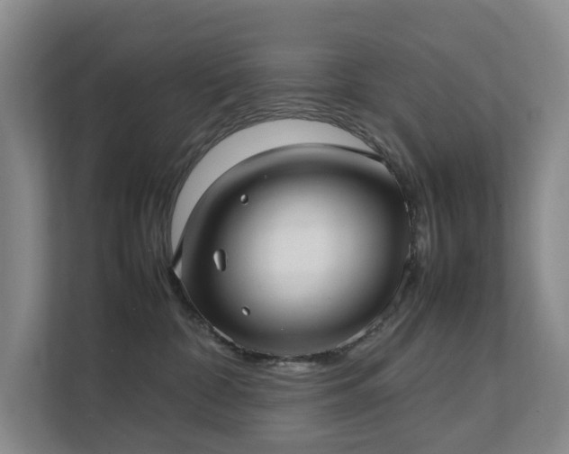 X0000111350332200907101215