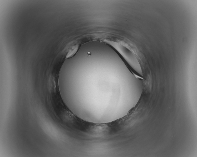 X0000111350333200907101215