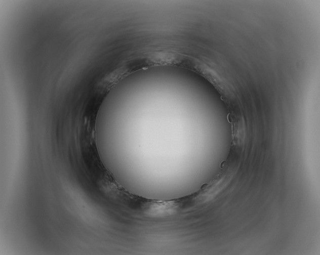 X0000111350334200907101215