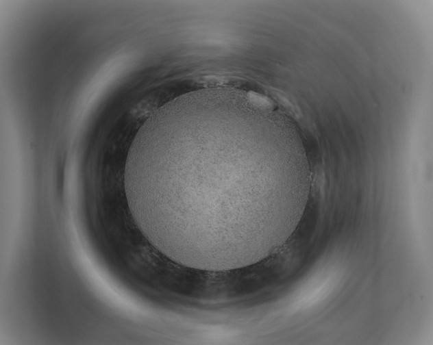 X0000111350335200907101215