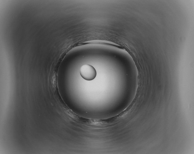 X0000111350336200907101215