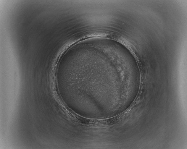 X0000111350337200907101214