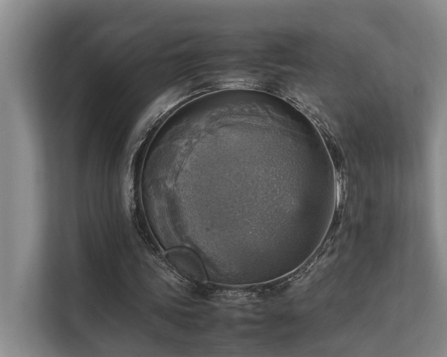 X0000111350339200907101214