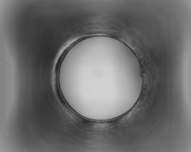 X0000111350342200907101214