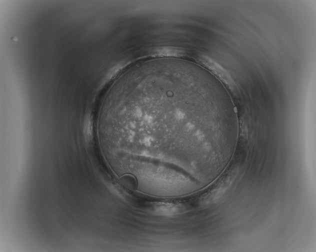 X0000111350347200907101214