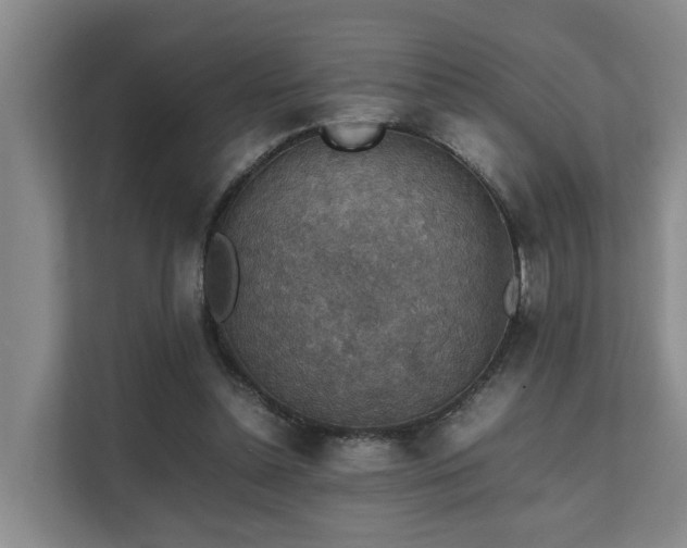 X0000111350348200907101214