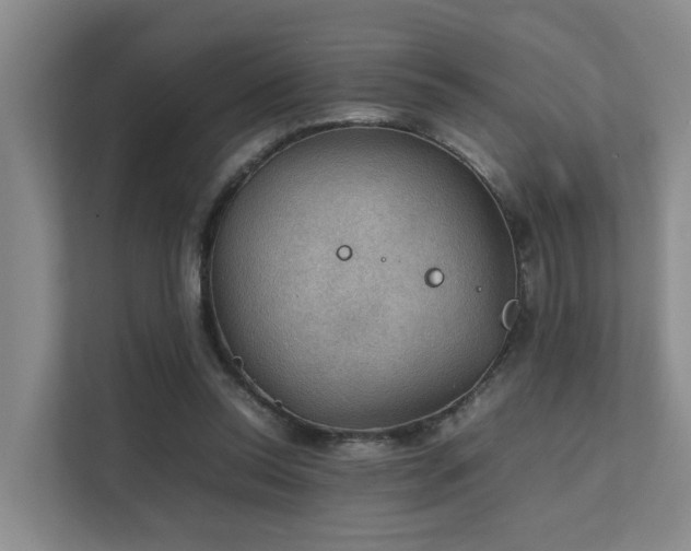 X0000111350350200907101214