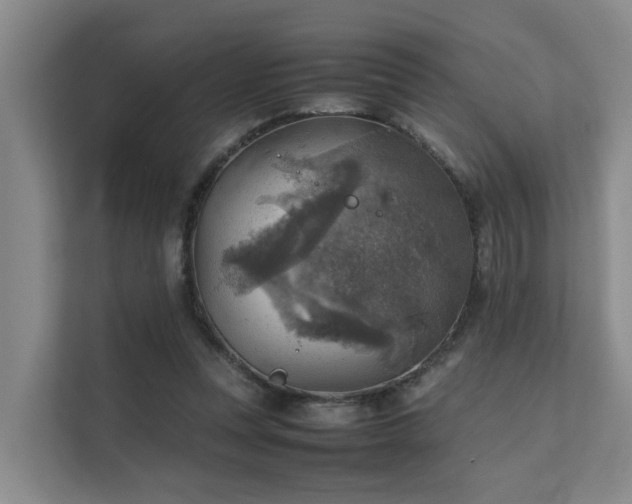 X0000111350351200907101214