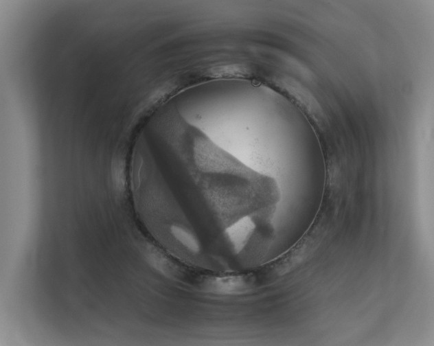 X0000111350353200907101215