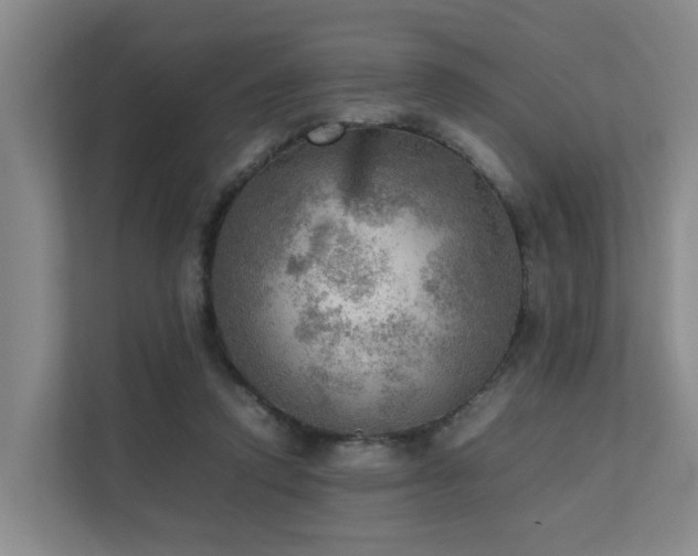 X0000111350354200907101215