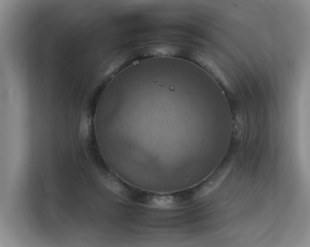 X0000111350355200907101215