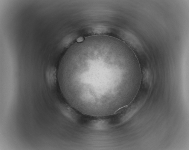 X0000111350356200907101215