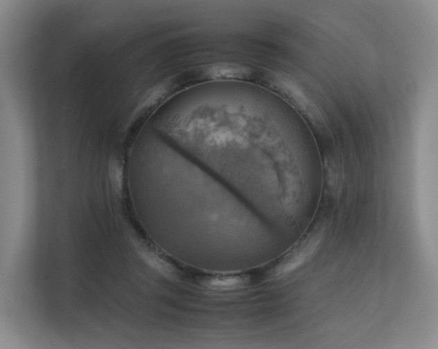 X0000111350357200907101215