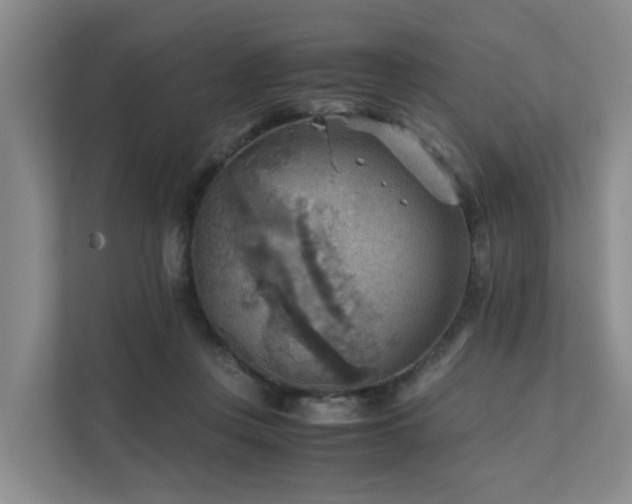 X0000111350359200907101215