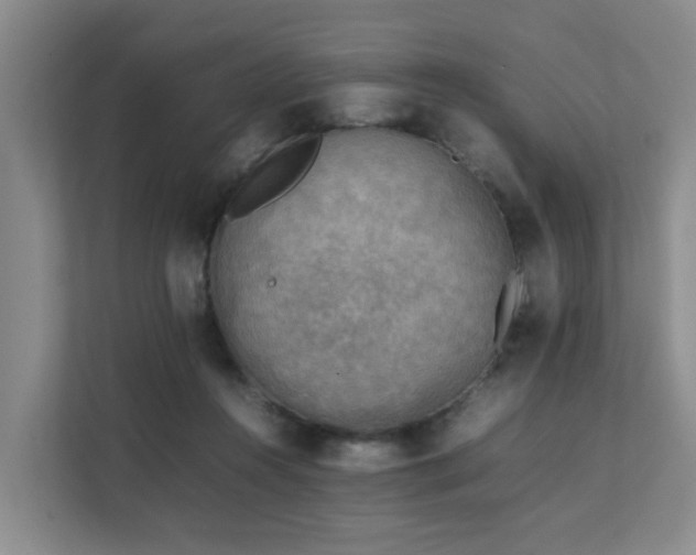 X0000111350360200907101215