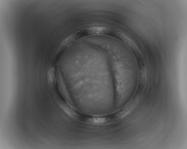 X0000111350361200907101215