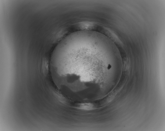 X0000111350363200907101215