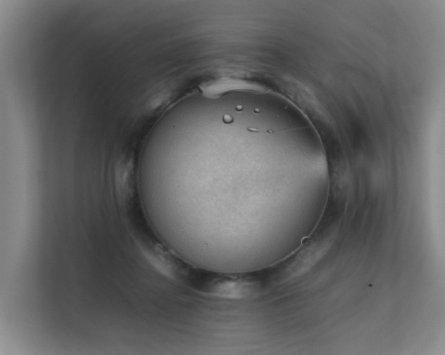 X0000111350364200907101215