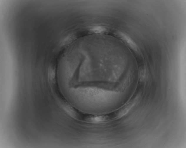 X0000111350365200907101215