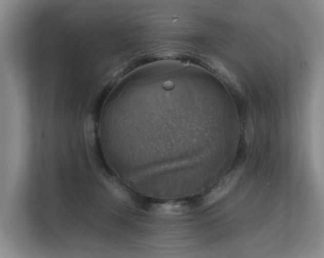 X0000111350366200907101215