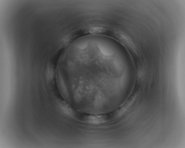 X0000111350367200907101215