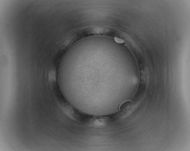 X0000111350368200907101215