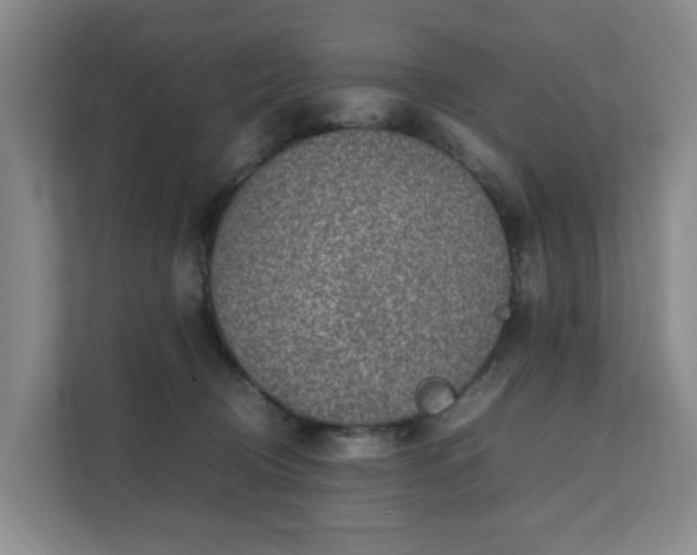 X0000111350370200907101215