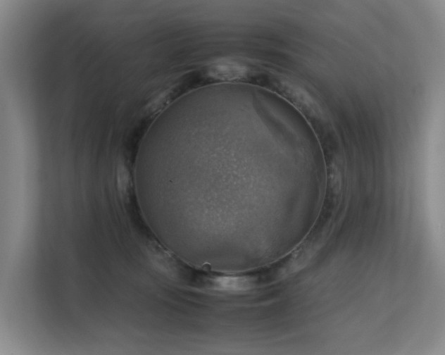 X0000111350371200907101215