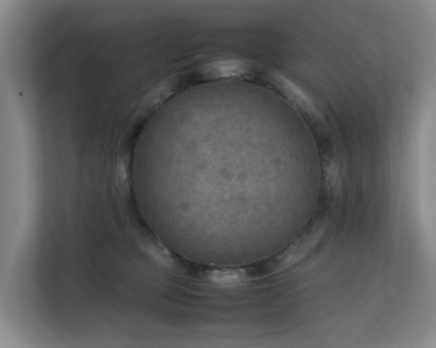 X0000111350373200907101215