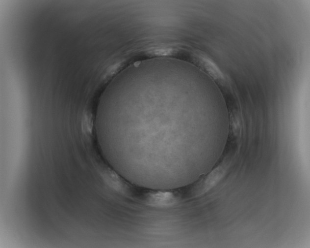 X0000111350374200907101215