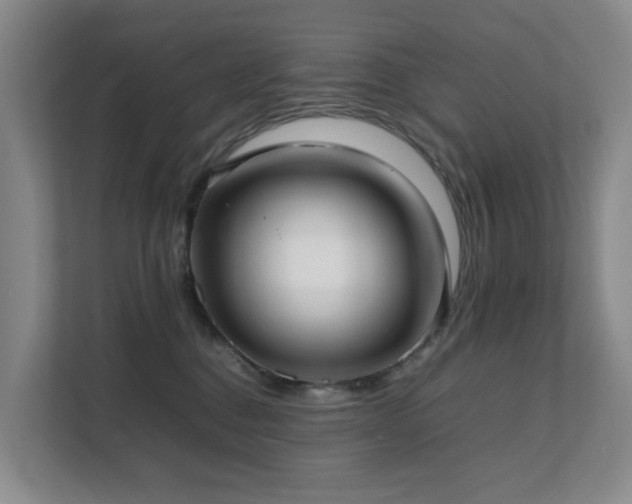 X0000111350376200907101215