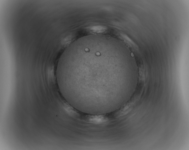 X0000111350377200907101215