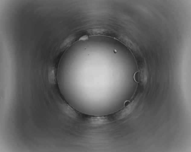 X0000111350378200907101215