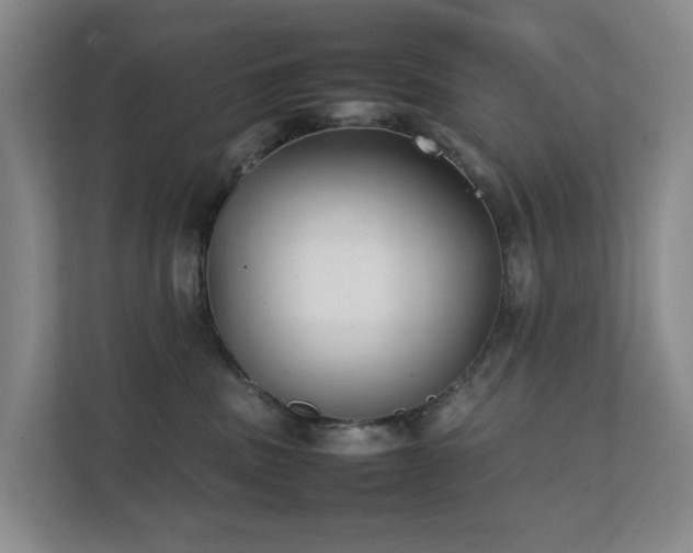 X0000111350379200907101215